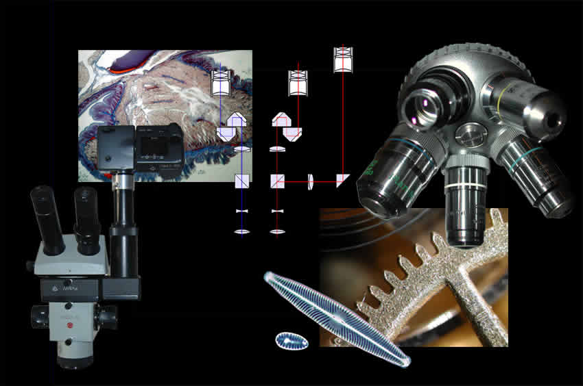 Collage mit Stereomikroskop MBS-10 (Lomo), Strahlengang eines Stereomikroskops, Objektivrevolver