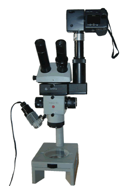 Stereomikroskop MBS-10 des russischen Herstellers LOMO