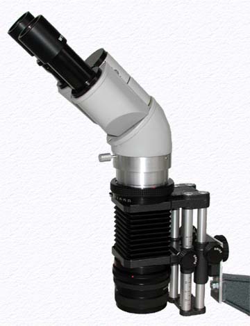 binokulares Makroskop